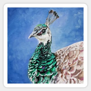 Peahen - painted bird portrait Sticker